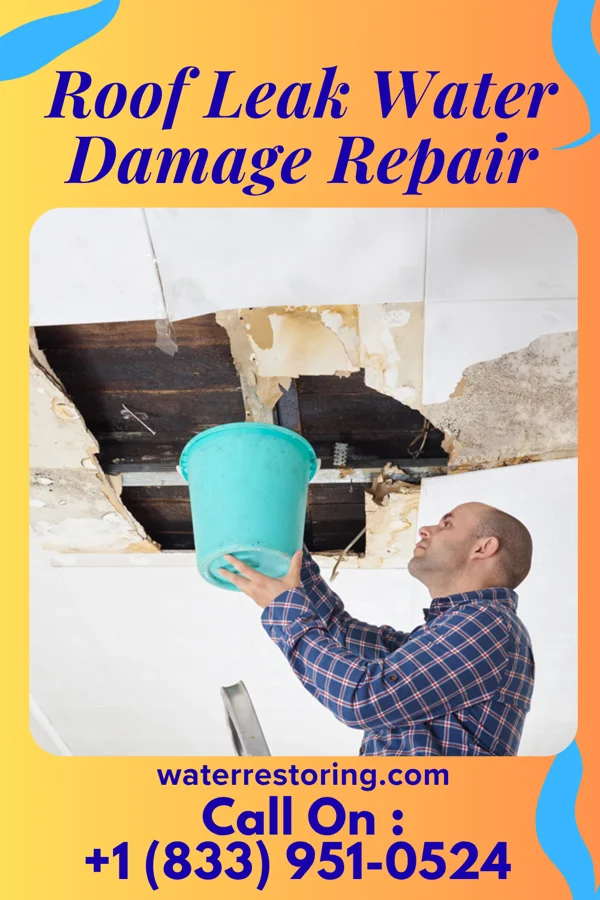 Roof Leak Water Damage Repair in Benton, WI